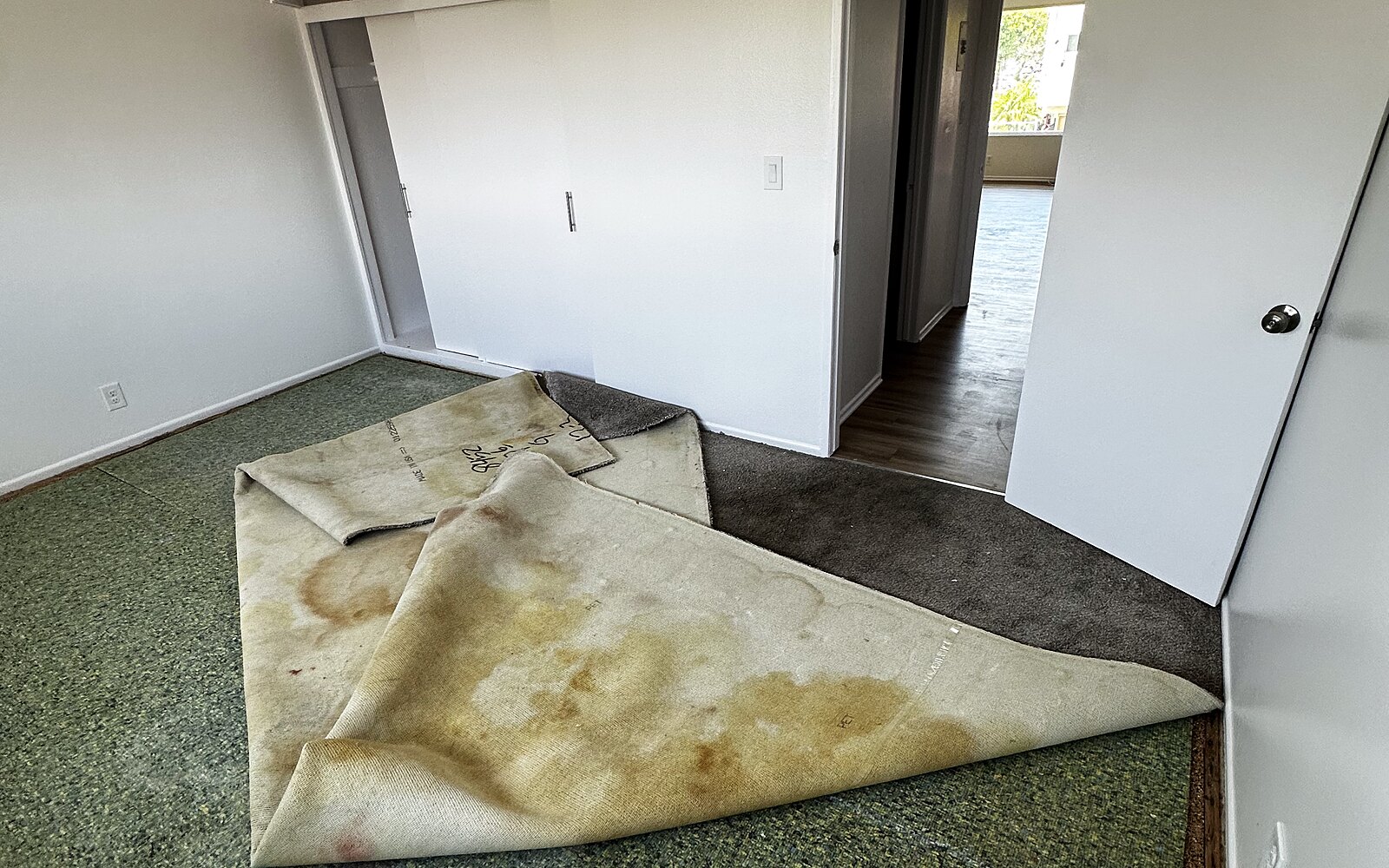 Carpet — stained, before replacement