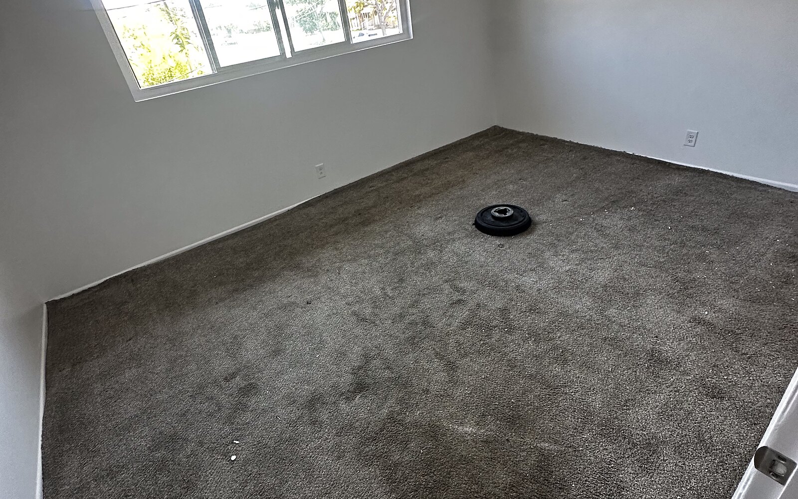 Carpet — finished install