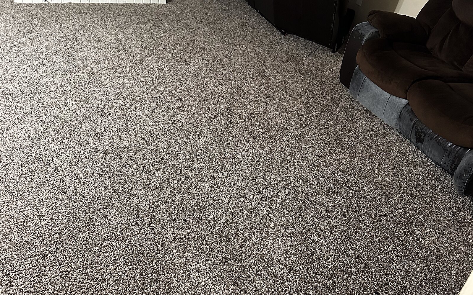 Carpet — finished clean