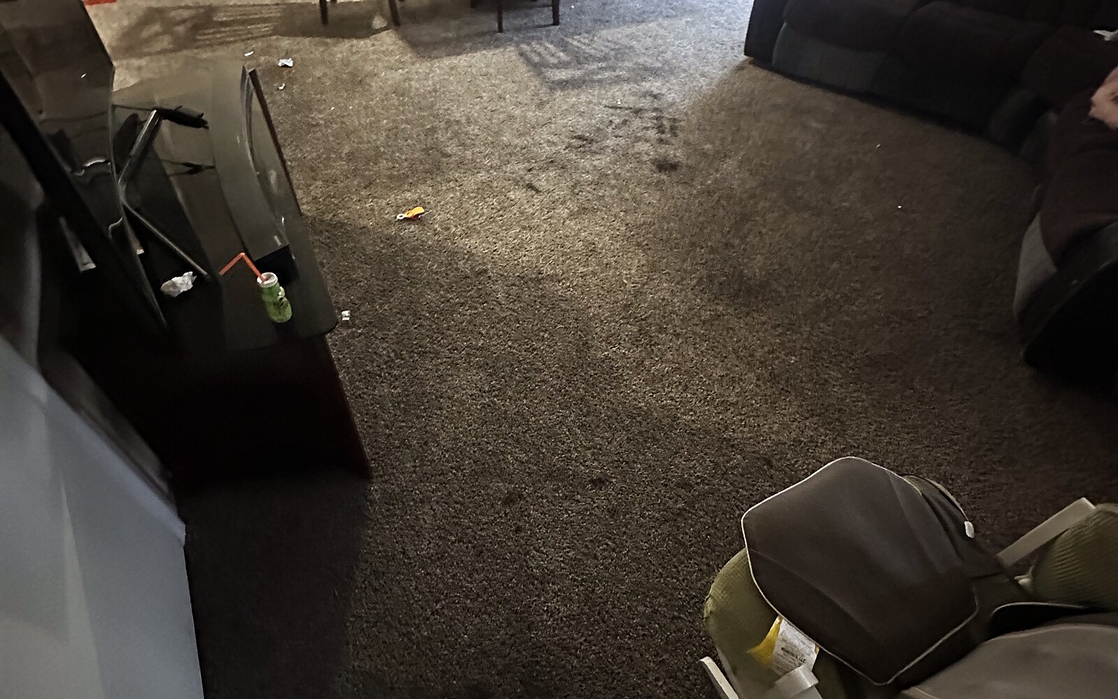 Before: dirty stained carpet
