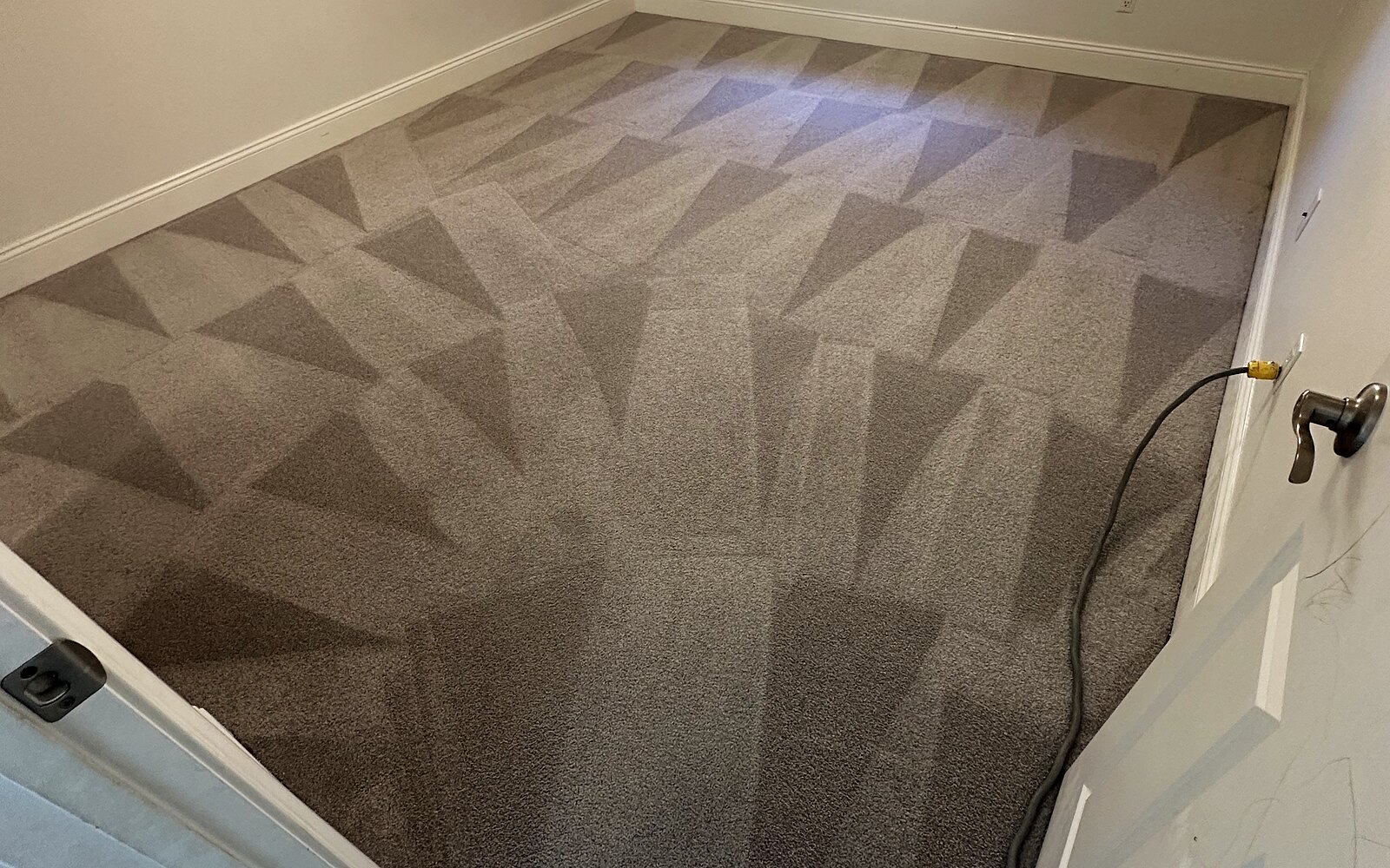 Carpet shampoo