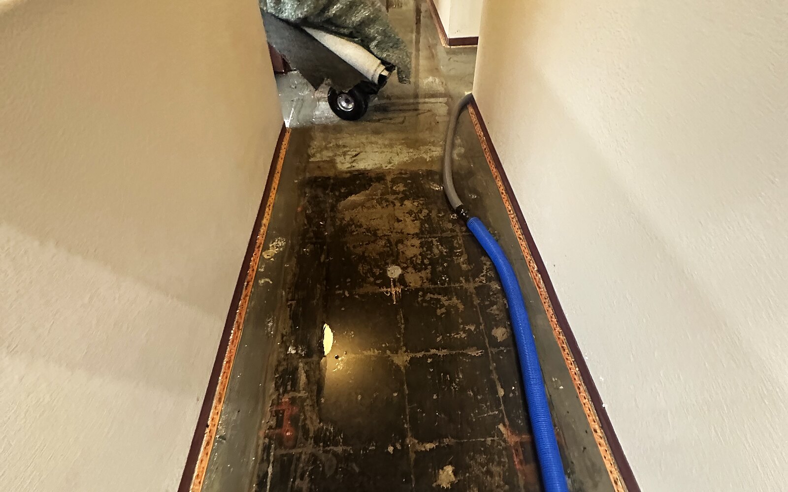 Water damage — hallway floor extraction
